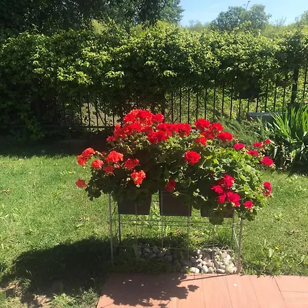 Bed and Breakfast D'este