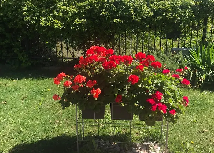 B&B D'este
